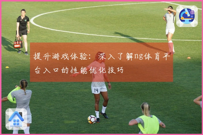 提升游戏体验：深入了解ng体育平台入口的性能优化技巧