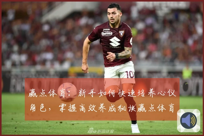 赢点体育：新手如何快速培养心仪角色，掌握高效养成秘诀赢点体育